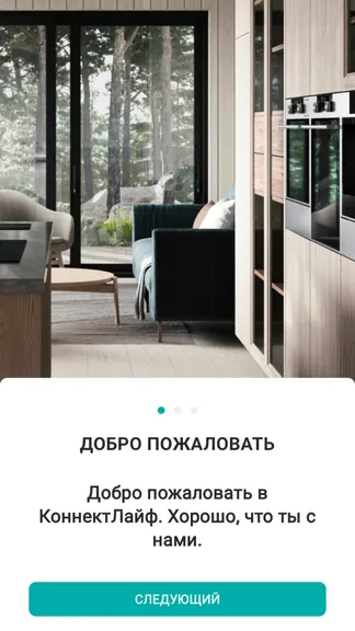 Скриншот 1/4