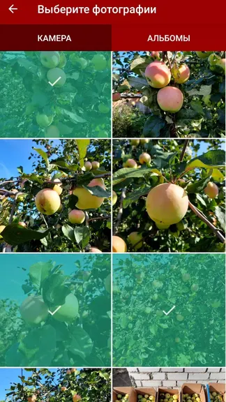 Скриншот 3/5