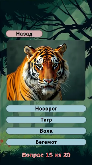 Скриншот 8/8
