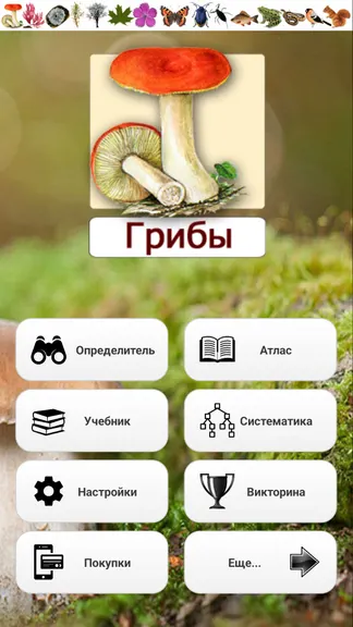 Скриншот 1/8