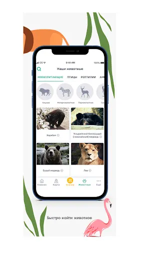 Скриншот 6/8