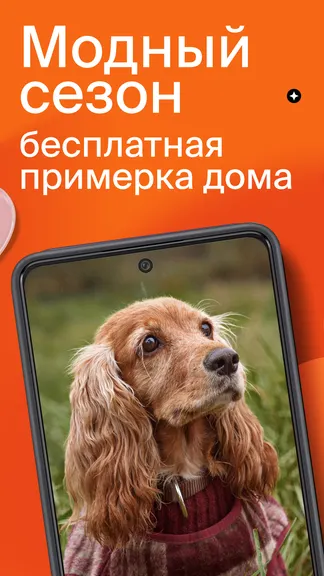 Скриншот 2/7
