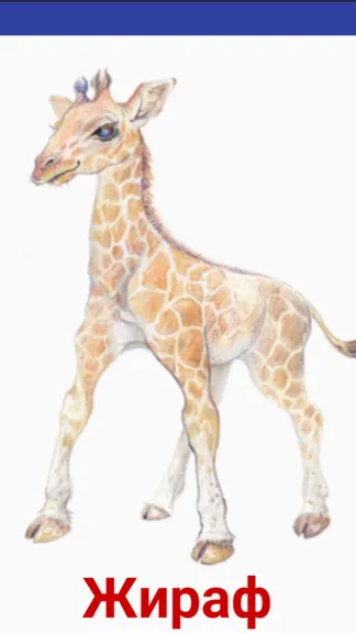 Скриншот 5/5