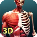 Human Anatomy 3D логотип