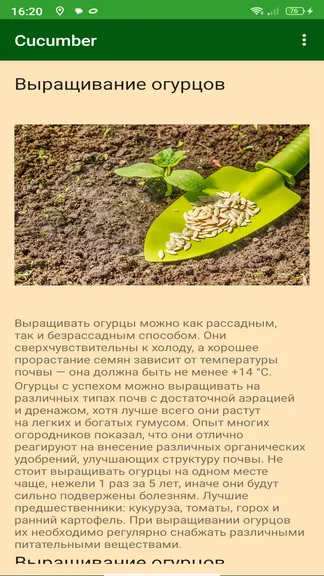 Скриншот 4/4