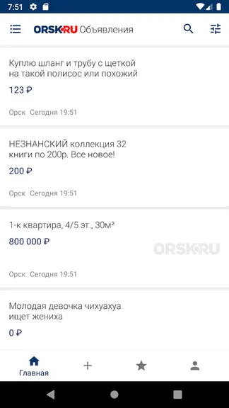 Скриншот 1/4