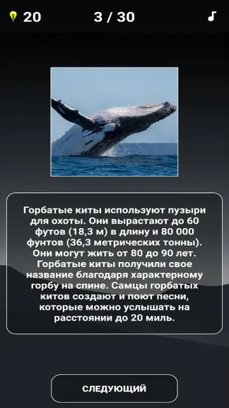 Скриншот 4/6