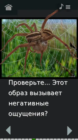 Скриншот 4/5