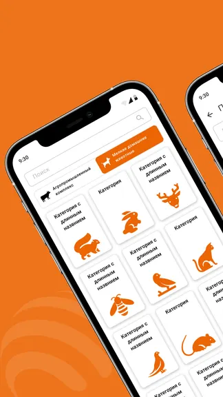 Скриншот 3/7