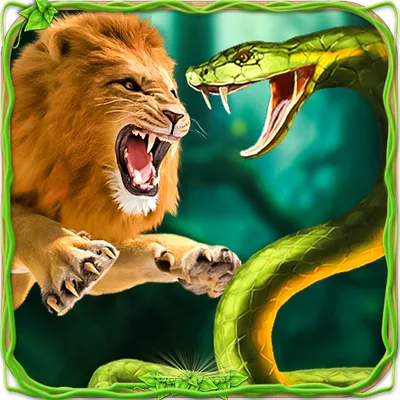 Furious Lion Vs Angry Anaconda Snake