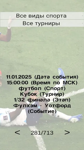 Скриншот 4/4
