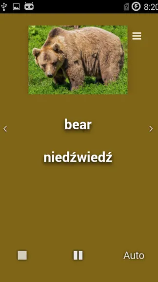 Скриншот 5/5