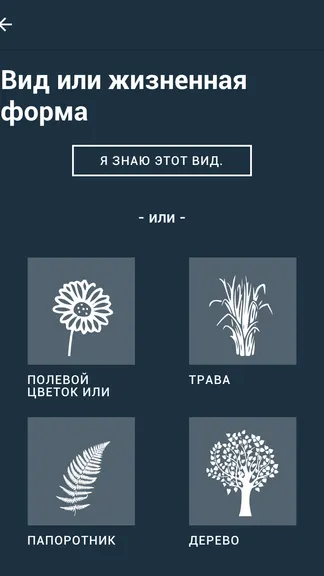 Скриншот 2/5