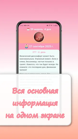 Скриншот 1/4