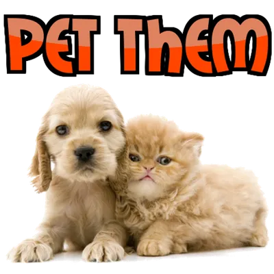 Pet Them: Baby Animals Edition