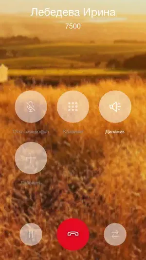 Скриншот 3/4