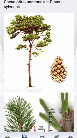 Скриншот 8/8