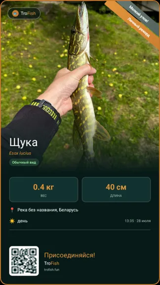 Скриншот 1/4