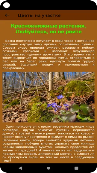 Скриншот 5/6