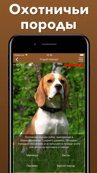 Скриншот 4/8