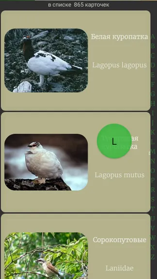 Скриншот 5/7