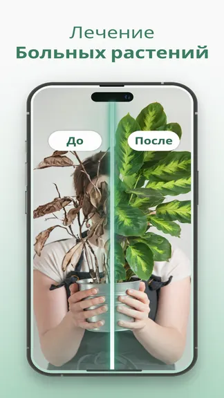 Скриншот 5/6