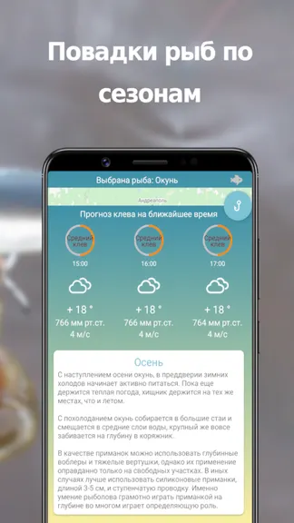 Скриншот 3/3