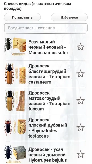 Скриншот 2/8