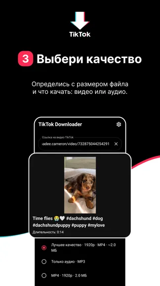 Скриншот 3/5