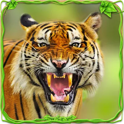 Furious Tiger Simulator