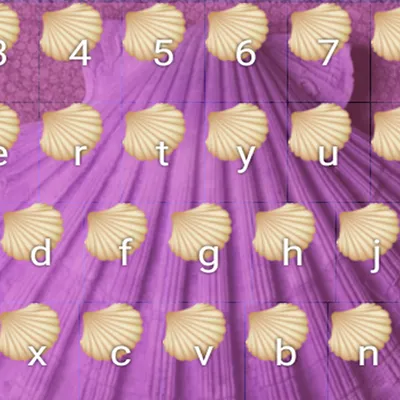 Shell Keyboards