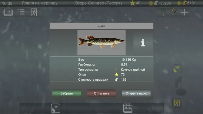 Скриншот 10/10