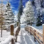 Зимние Пейзажи Живые Обои логотип