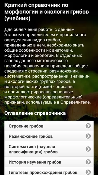 Скриншот 6/8