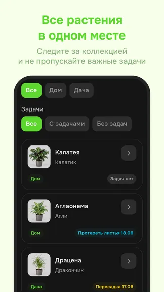 Скриншот 3/6