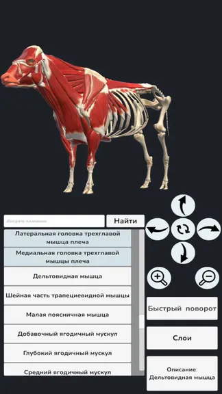 Скриншот 4/7