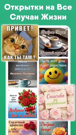 Скриншот 6/6
