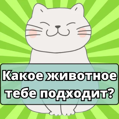 Какое животное тебе подходит?