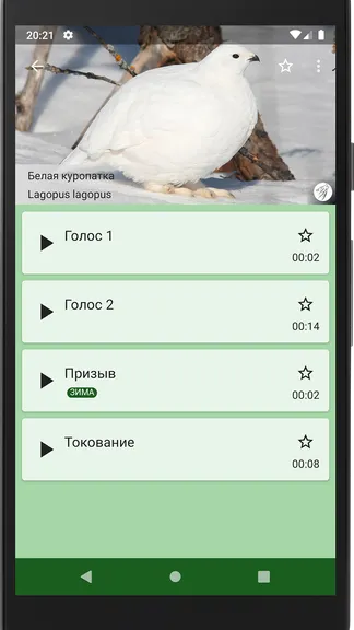 Скриншот 3/4