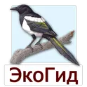 ЭкоГид: Птицы и голоса логотип