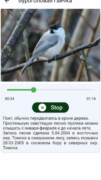 Скриншот 5/5