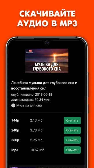 Скриншот 5/5