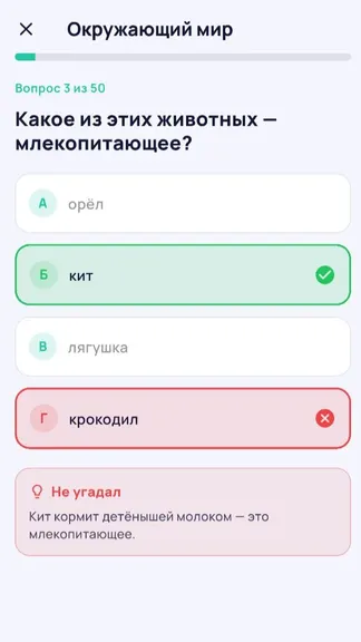 Скриншот 5/5