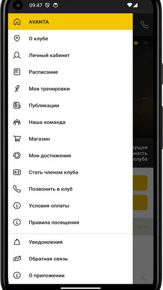 Скриншот 2/4