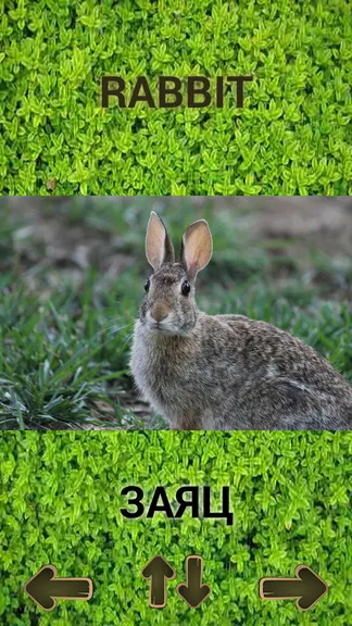 Скриншот 5/7