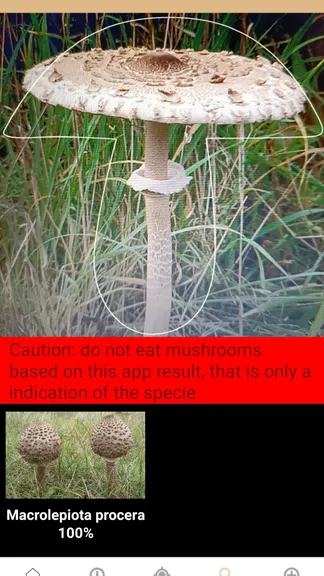 Скриншот 3/7