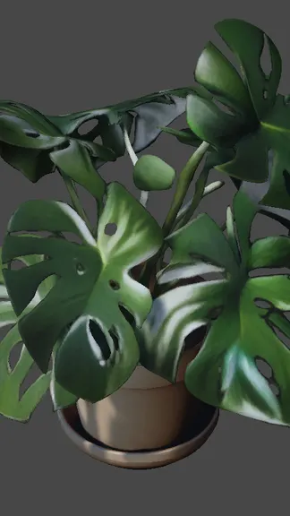 Скриншот 1/5