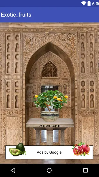 Скриншот 3/4