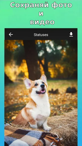 Скриншот 2/3