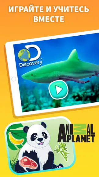 Скриншот 4/5